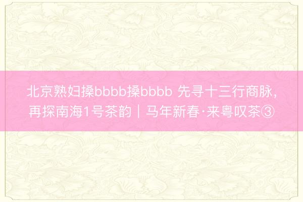 北京熟妇搡bbbb搡bbbb 先寻十三行商脉，再探南海1号茶韵｜马年新春·来粤叹茶③