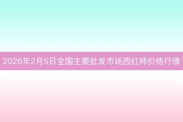 2026年2月5日全国主要批发市场西红柿价格行情