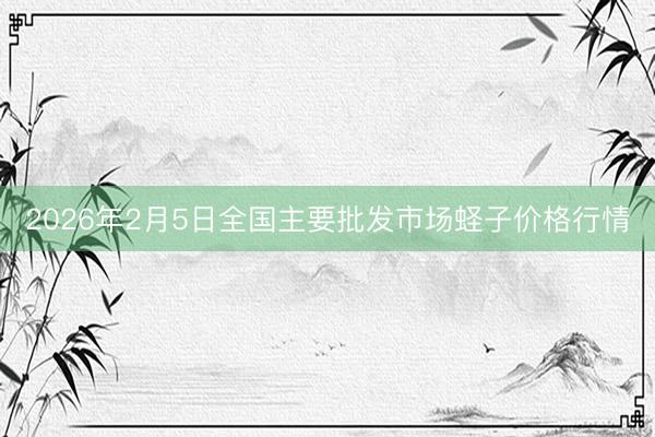 2026年2月5日全国主要批发市场蛏子价格行情