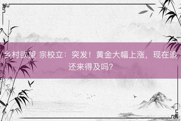 乡村欲望 宗校立：突发！黄金大幅上涨，现在追还来得及吗？