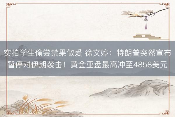 实拍学生偷尝禁果做爰 徐文婷：特朗普突然宣布暂停对伊朗袭击！黄金亚盘最高冲至4858美元