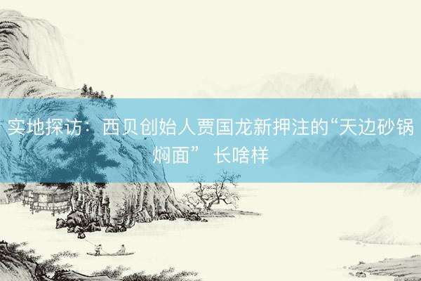 实地探访：西贝创始人贾国龙新押注的“天边砂锅焖面”  长啥样
