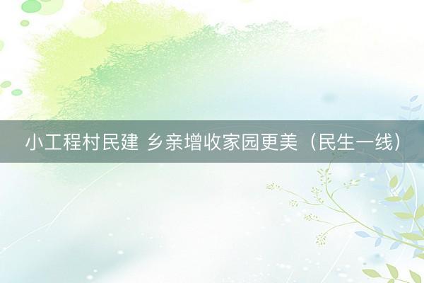 小工程村民建 乡亲增收家园更美（民生一线）