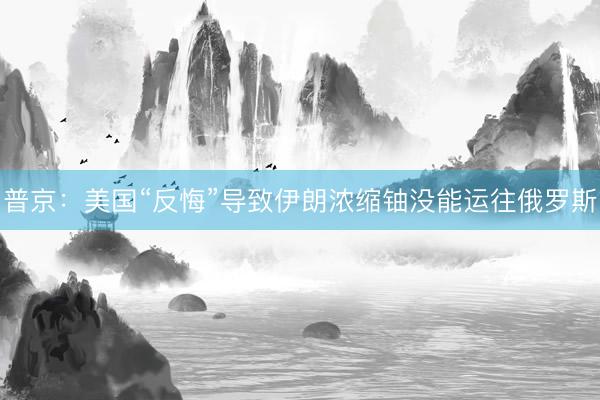 普京：美国“反悔”导致伊朗浓缩铀没能运往俄罗斯