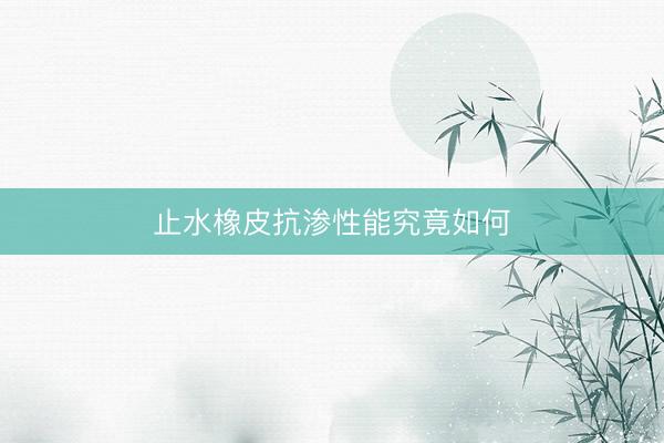 止水橡皮抗渗性能究竟如何