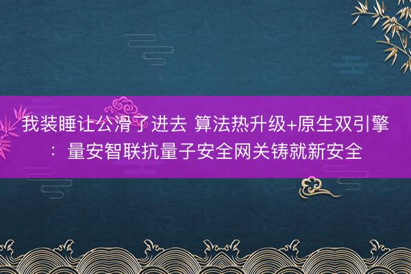 我装睡让公滑了进去 算法热升级+原生双引擎：量安智联抗量子安全网关铸就新安全