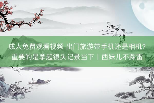 成人免费观看视频 出门旅游带手机还是相机？重要的是拿起镜头记录当下丨西妹儿不踩雷