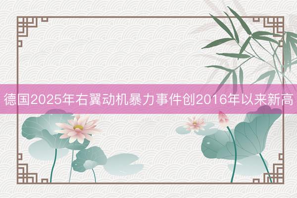 德国2025年右翼动机暴力事件创2016年以来新高