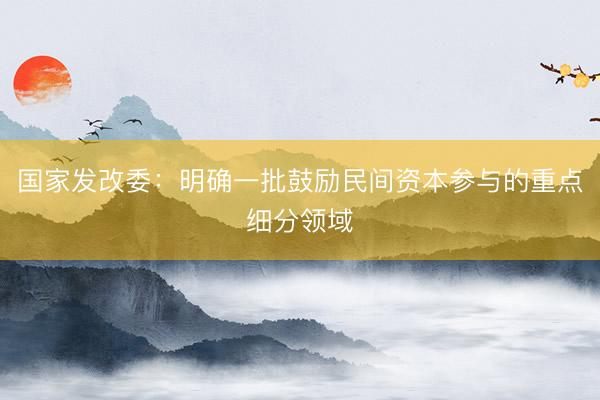 国家发改委：明确一批鼓励民间资本参与的重点细分领域