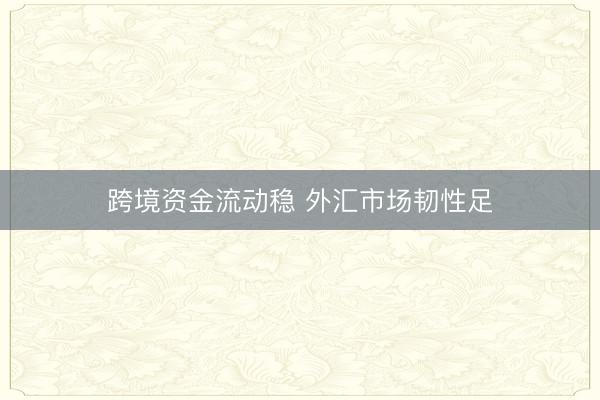 跨境资金流动稳 外汇市场韧性足