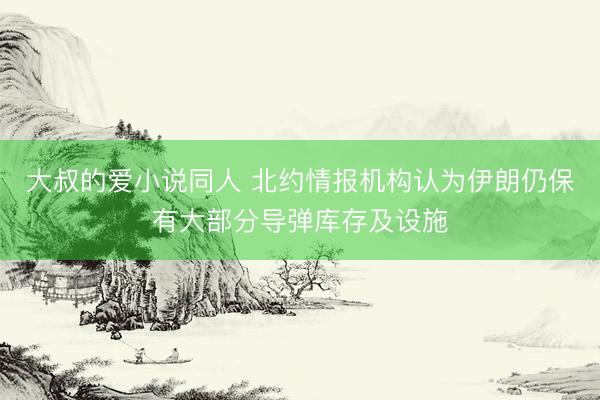 大叔的爱小说同人 北约情报机构认为伊朗仍保有大部分导弹库存及设施