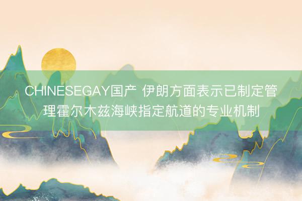 CHINESEGAY国产 伊朗方面表示已制定管理霍尔木兹海峡指定航道的专业机制