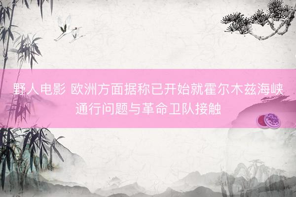 野人电影 欧洲方面据称已开始就霍尔木兹海峡通行问题与革命卫队接触