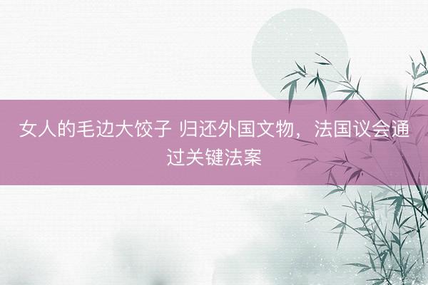 女人的毛边大饺子 归还外国文物，法国议会通过关键法案