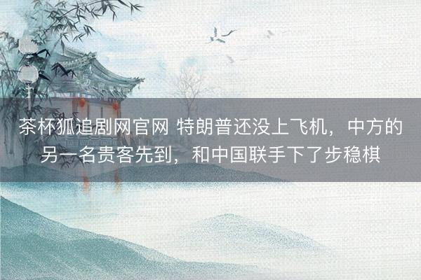 茶杯狐追剧网官网 特朗普还没上飞机，中方的另一名贵客先到，和中国联手下了步稳棋