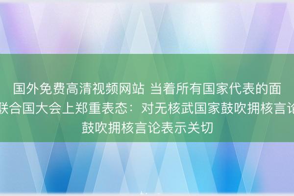 国外免费高清视频网站 当着所有国家代表的面，中方在联合国大会上郑重表态：对无核武国家鼓吹拥核言论表示关切