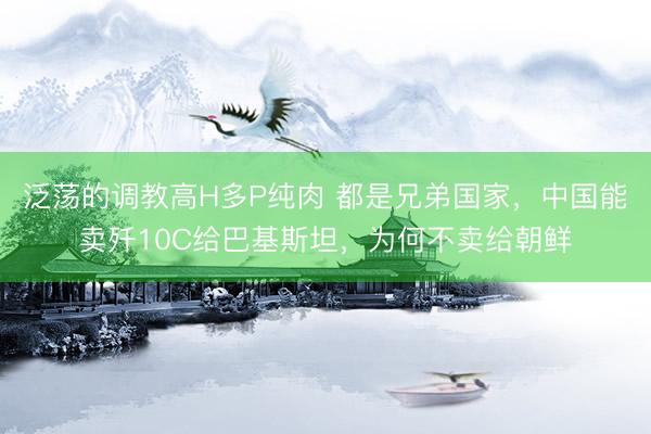 泛荡的调教高H多P纯肉 都是兄弟国家，中国能卖歼10C给巴基斯坦，为何不卖给朝鲜