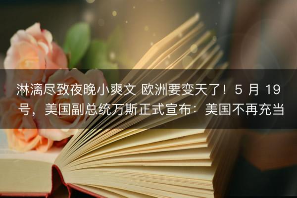 淋漓尽致夜晚小爽文 欧洲要变天了！5 月 19 号，美国副总统万斯正式宣布：美国不再充当