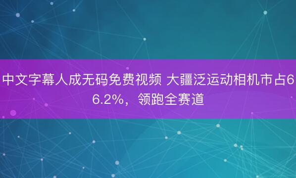 中文字幕人成无码免费视频 大疆泛运动相机市占66.2%,领跑全赛道