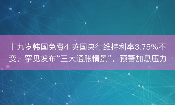 十九岁韩国免费4 英国央行维持利率3.75%不变，罕见发布“三大通胀情景”，预警加息压力