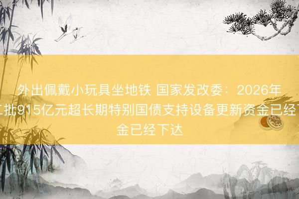 外出佩戴小玩具坐地铁 国家发改委：2026年第二批915亿元超长期特别国债支持设备更新资金已经下达