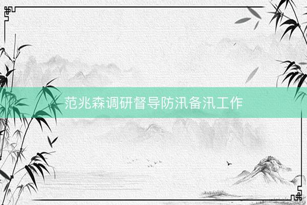 范兆森调研督导防汛备汛工作