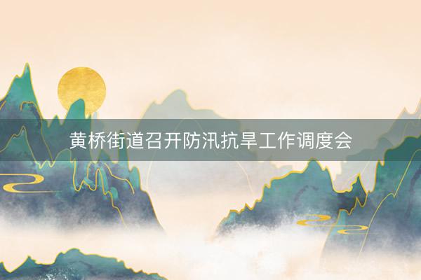 黄桥街道召开防汛抗旱工作调度会