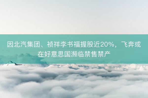 因北汽集团、祯祥李书福握股近20%，飞奔或在好意思国濒临禁售禁产