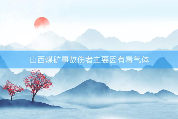 山西煤矿事故伤者主要因有毒气体