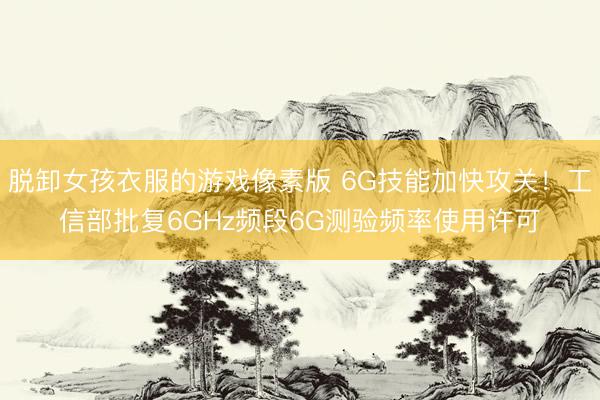 脱卸女孩衣服的游戏像素版 6G技能加快攻关！工信部批复6GHz频段6G测验频率使用许可