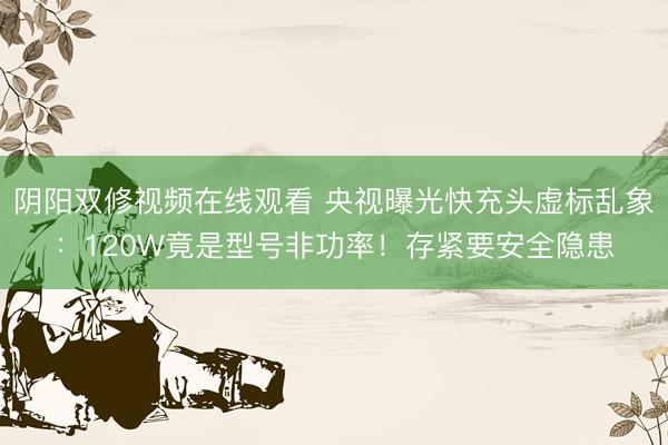 阴阳双修视频在线观看 央视曝光快充头虚标乱象：120W竟是型号非功率！存紧要安全隐患