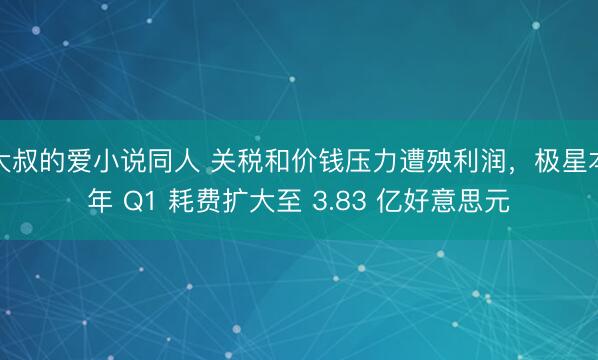 大叔的爱小说同人 关税和价钱压力遭殃利润，极星本年 Q1 耗费扩大至 3.83 亿好意思元