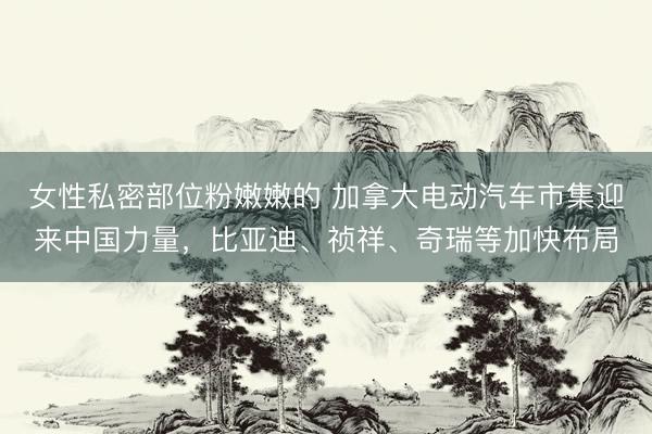 女性私密部位粉嫩嫩的 加拿大电动汽车市集迎来中国力量，比亚迪、祯祥、奇瑞等加快布局