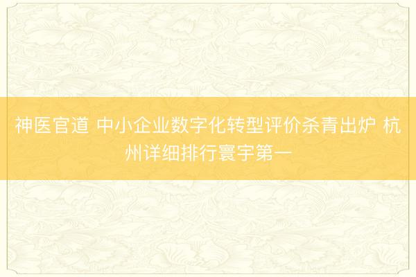 神医官道 中小企业数字化转型评价杀青出炉 杭州详细排行寰宇第一