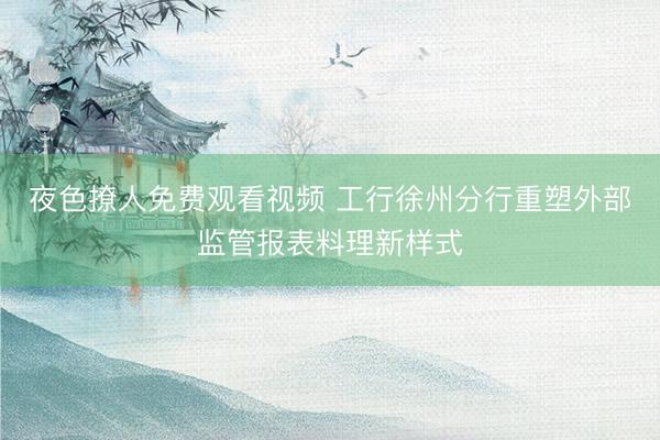 夜色撩人免费观看视频 工行徐州分行重塑外部监管报表料理新样式