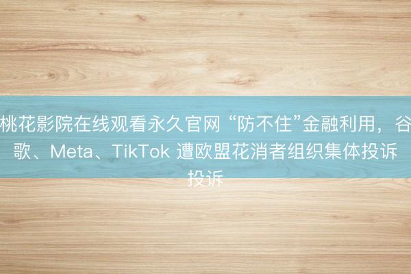 桃花影院在线观看永久官网 “防不住”金融利用，谷歌、Meta、TikTok 遭欧盟花消者组织集体投诉