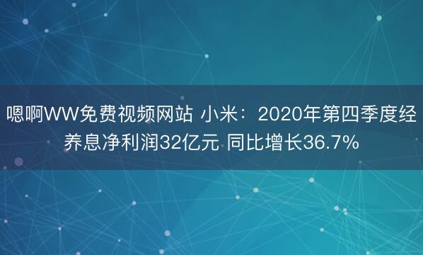 嗯啊WW免费视频网站 小米：2020年第四季度经养息净利润32亿元 同比增长36.7%