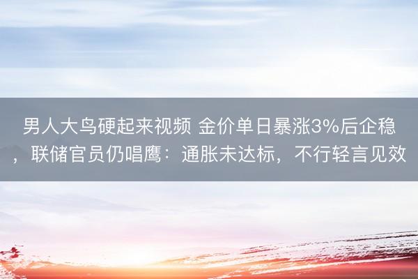 男人大鸟硬起来视频 金价单日暴涨3%后企稳，联储官员仍唱鹰：通胀未达标，不行轻言见效