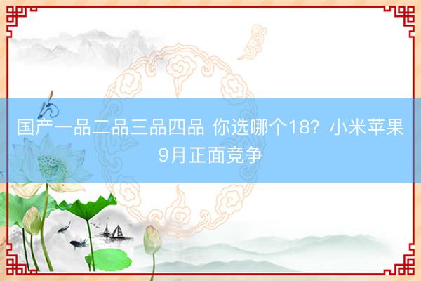 国产一品二品三品四品 你选哪个18?小米苹果9月正面竞争