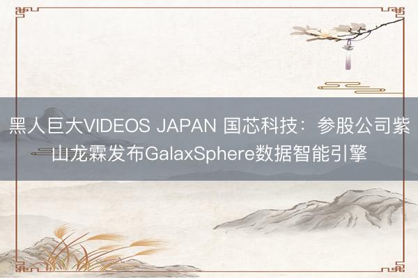黑人巨大VIDEOS JAPAN 国芯科技：参股公司紫山龙霖发布GalaxSphere数据智能引擎