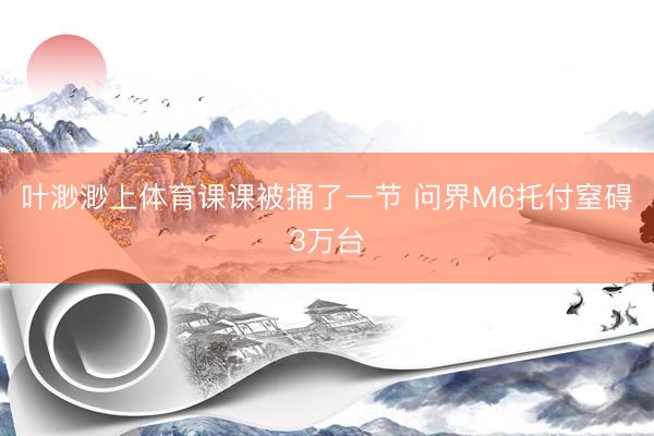 叶渺渺上体育课课被捅了一节 问界M6托付窒碍3万台
