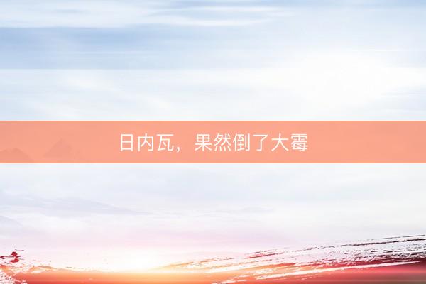 日内瓦，果然倒了大霉