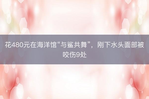 花480元在海洋馆“与鲨共舞”，刚下水头面部被咬伤9处